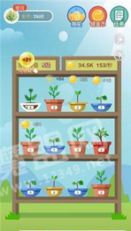 阳光养花场v1.5截图3