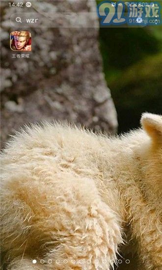 DNA桌面v2.4.9截图3