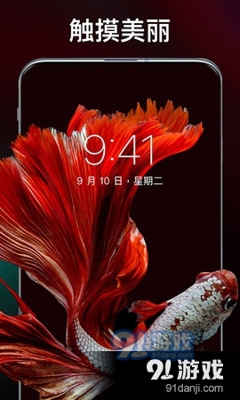 灵猫主题壁纸v1.3.5截图3