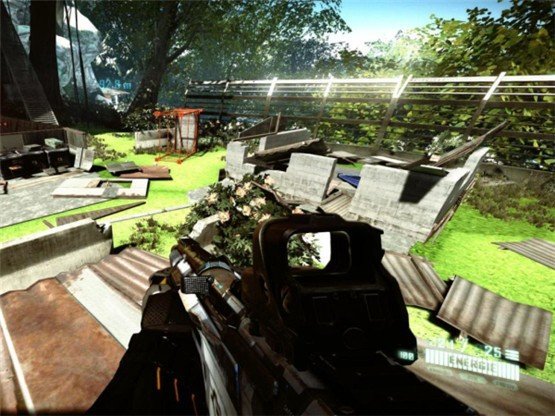 孤岛危机2v1.05截图3