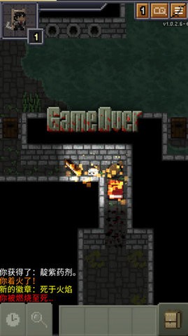 威士忌的像素地牢v1.0.2.9截图2