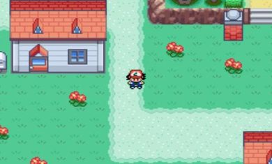 口袋妖怪圣灰汉化版v.04.01.17截图3