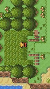 口袋妖怪:釉色v1.6.7截图4