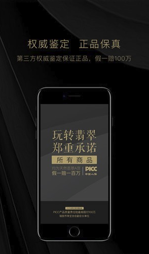 玩转翡翠免费版vV2.2.7截图2