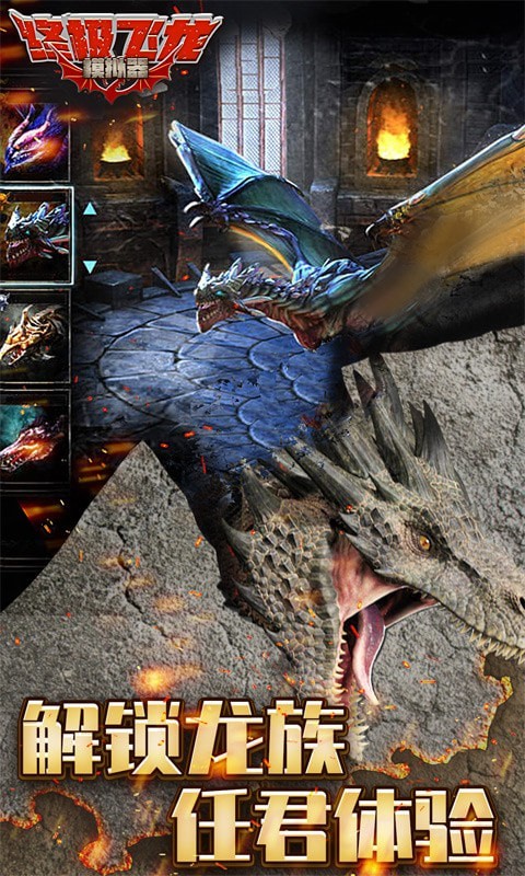 终极飞龙模拟器安卓版v1.6截图1