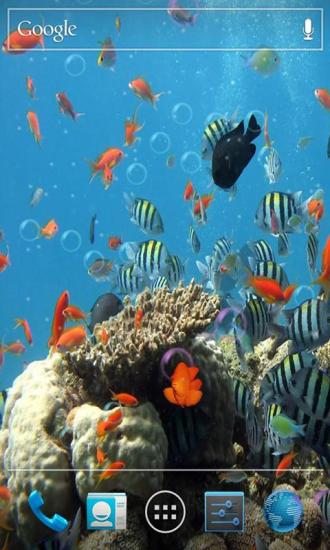 3D海底世界动态壁纸v5.10截图2
