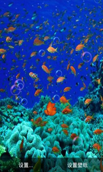 3D海底世界动态壁纸v5.10截图3
