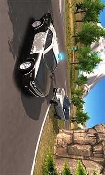 警车追逐者免费版v1.4截图4