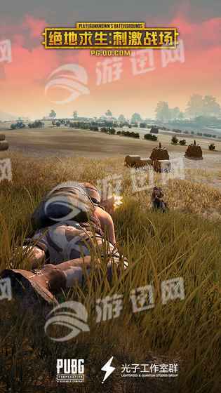 绝地求生刺激战场高清官网版v1.5截图5