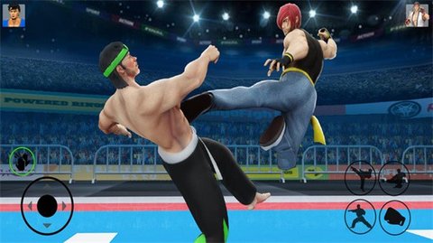 拳皇模拟器v2.5.5截图3