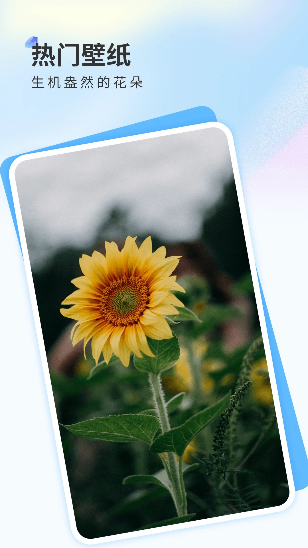 克拉壁纸免费正版v2.0截图1