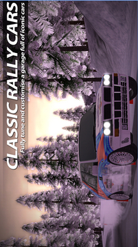 拉力竞速官网版v1.5截图3