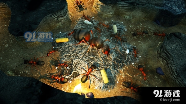 地下蚁国v1.1.0.9截图3