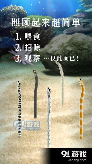 养育花园鳗的治愈游戏v1.3.6截图2