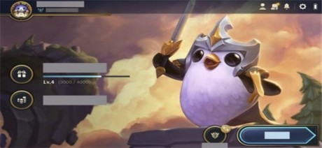 云顶之弈手游美服v1.14截图4