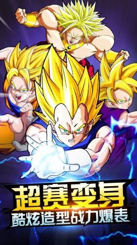 龙珠VSv1.14截图1