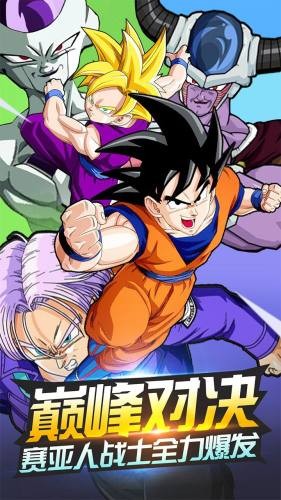 龙珠VSv1.14截图2