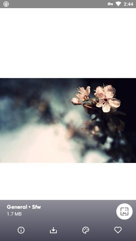 Wallpapersv1.4.5截图2