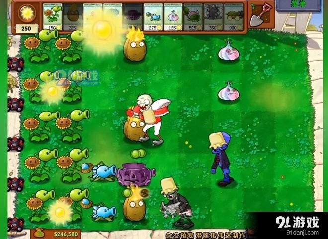 植物大战僵尸杂交版手机入口v2.8截图2