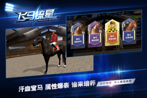 飞马流星v1.3.4截图5