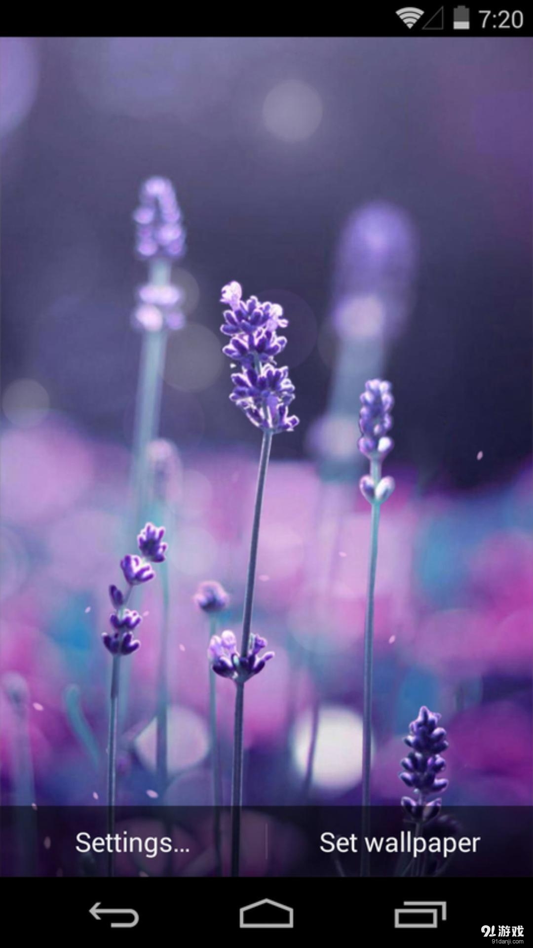 恋恋薰衣草：梦象动态壁纸v1.5.12截图4