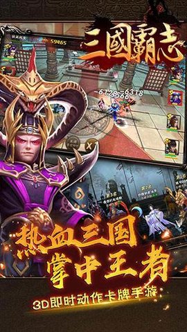 三国霸志v1.8截图2