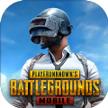 pubgmobile体验服v2.9.4