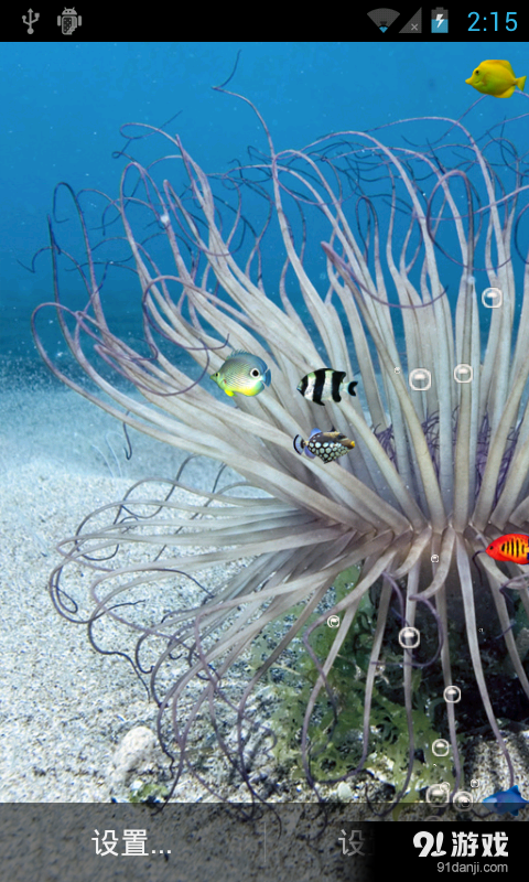 彩色海鱼v2.12截图1