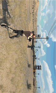 沙漠突击队v4.7截图2