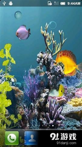 海洋水族馆壁纸v2.9.6截图2