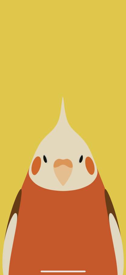 鸟类壁纸v1.6截图5