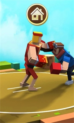 苏莫托运动v3.11截图2