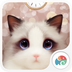布偶猫v1.21