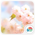 樱花落v1.6.12