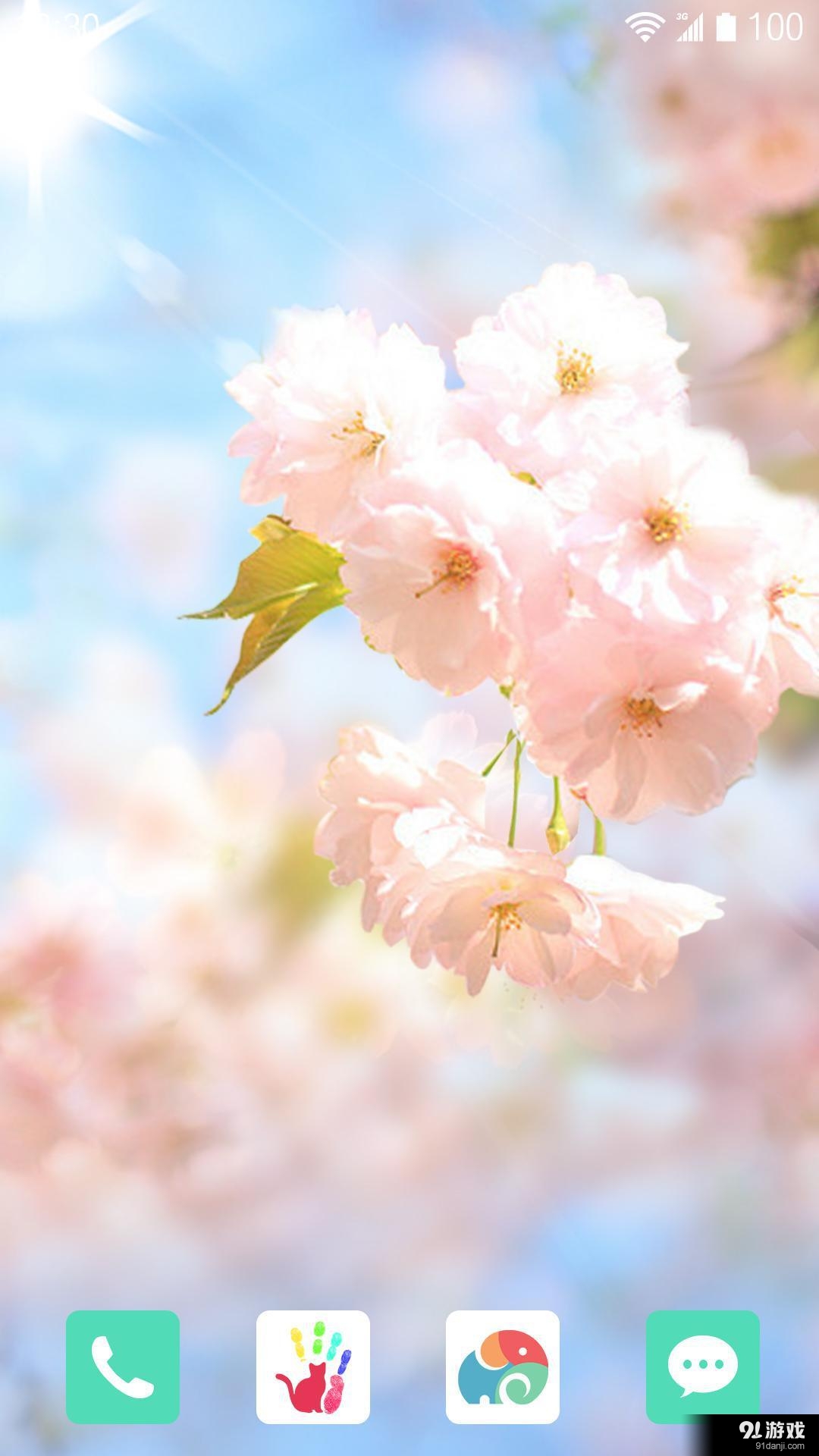 樱花落v1.6.12截图1