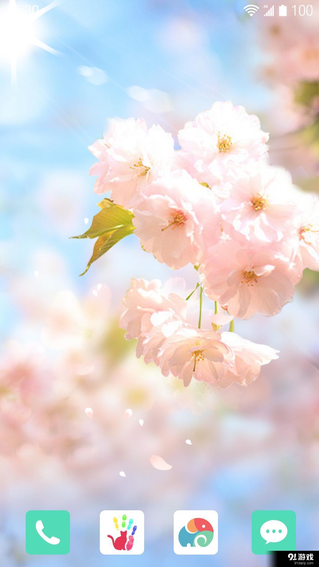 樱花落v1.6.12截图2