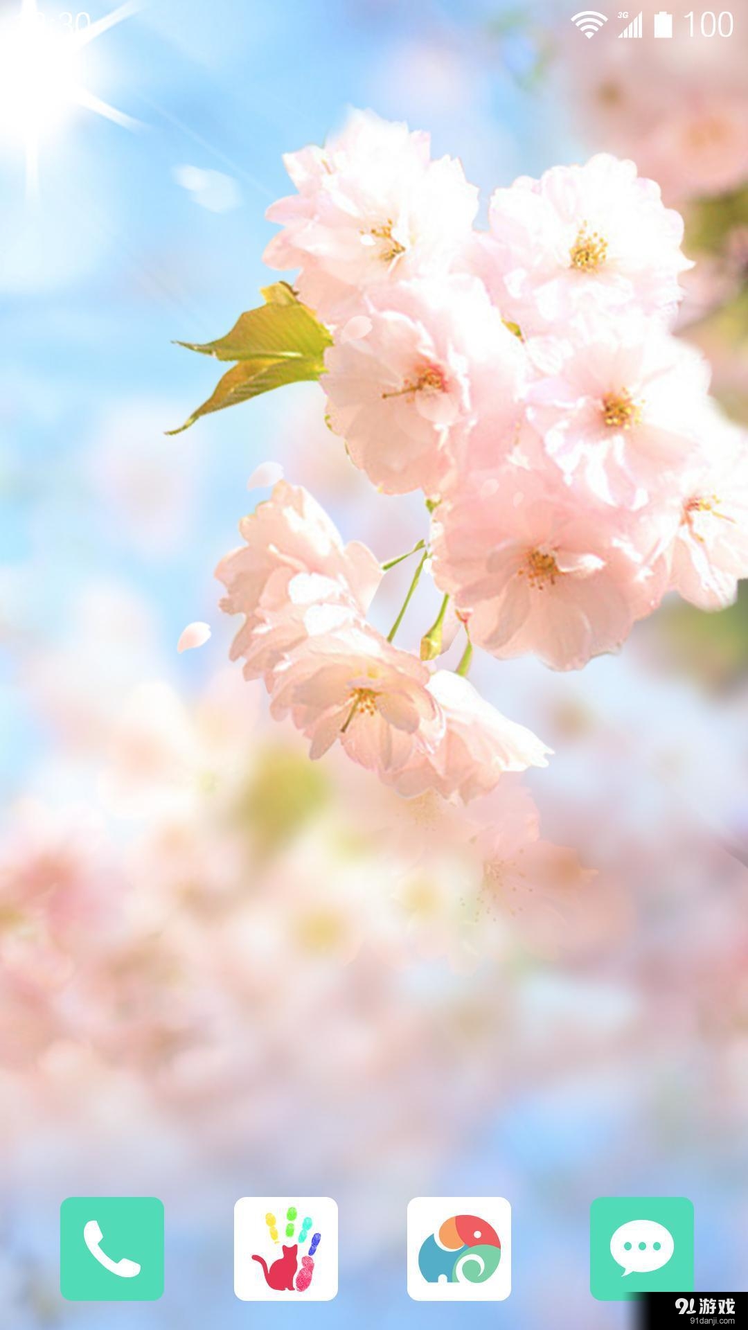 樱花落v1.6.12截图3