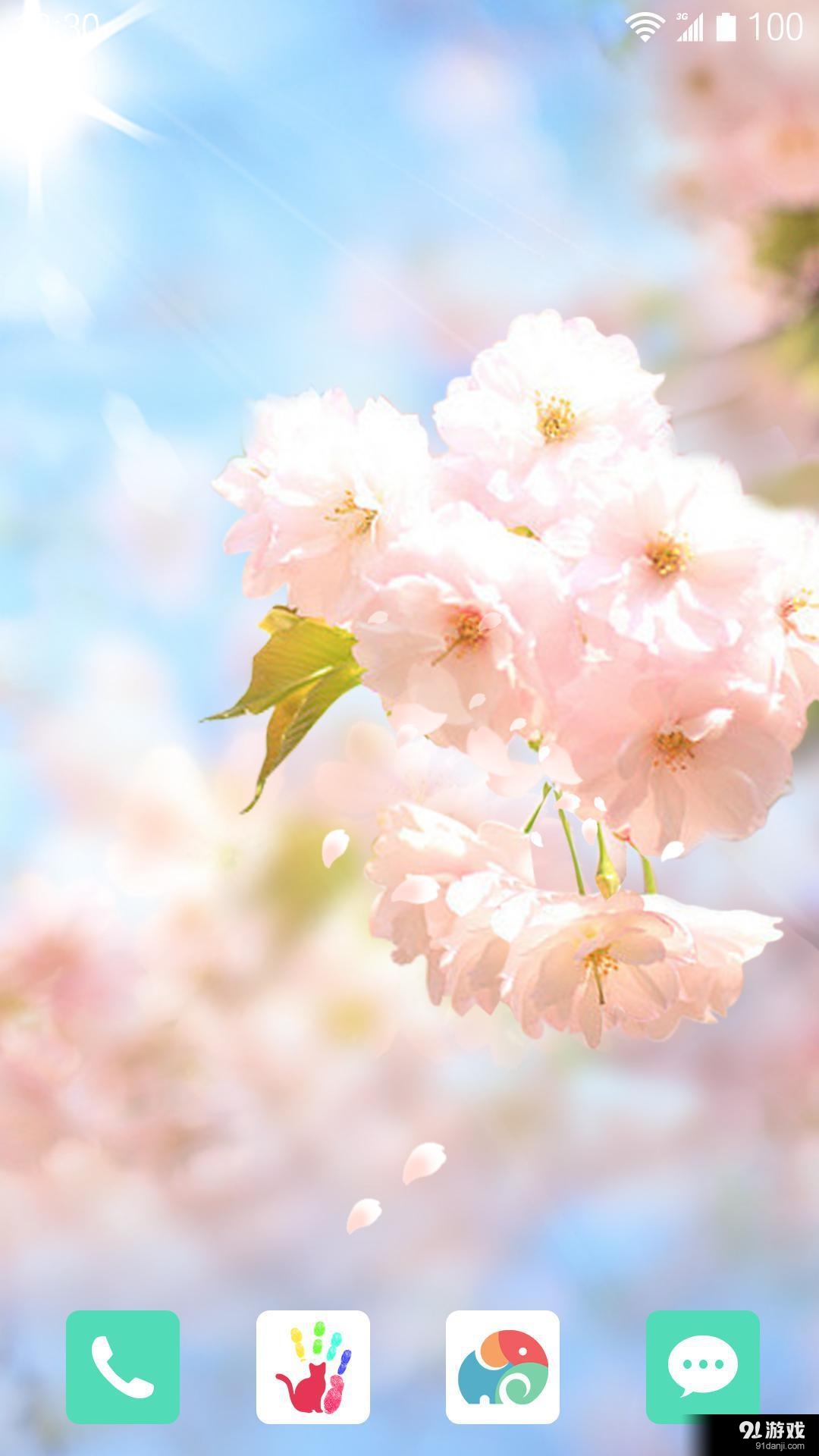 樱花落v1.6.12截图4