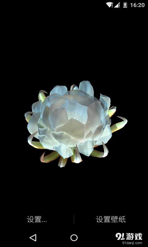 3D月下美人：梦象动态壁纸v1.7.5截图3