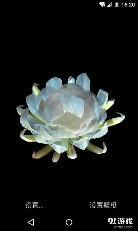 3D月下美人：梦象动态壁纸v1.7.5截图1