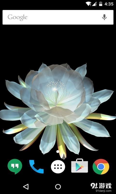 3D月下美人：梦象动态壁纸v1.7.5截图4