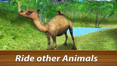 野生鹦鹉生存v1.11截图3