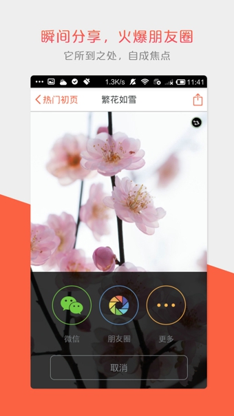 初页v4.9.8.66截图4
