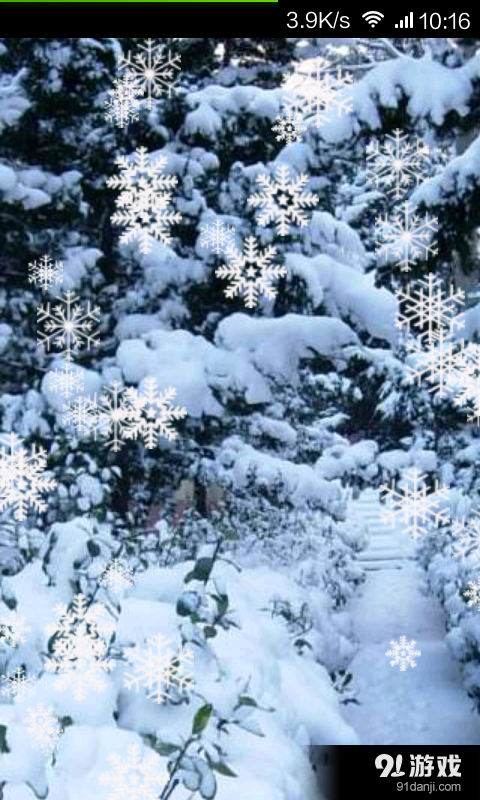 吹雪花v3.10.13截图2