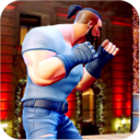 城市功夫快打v1.6