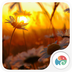 夕阳花语：梦象动态壁纸v1.5.8