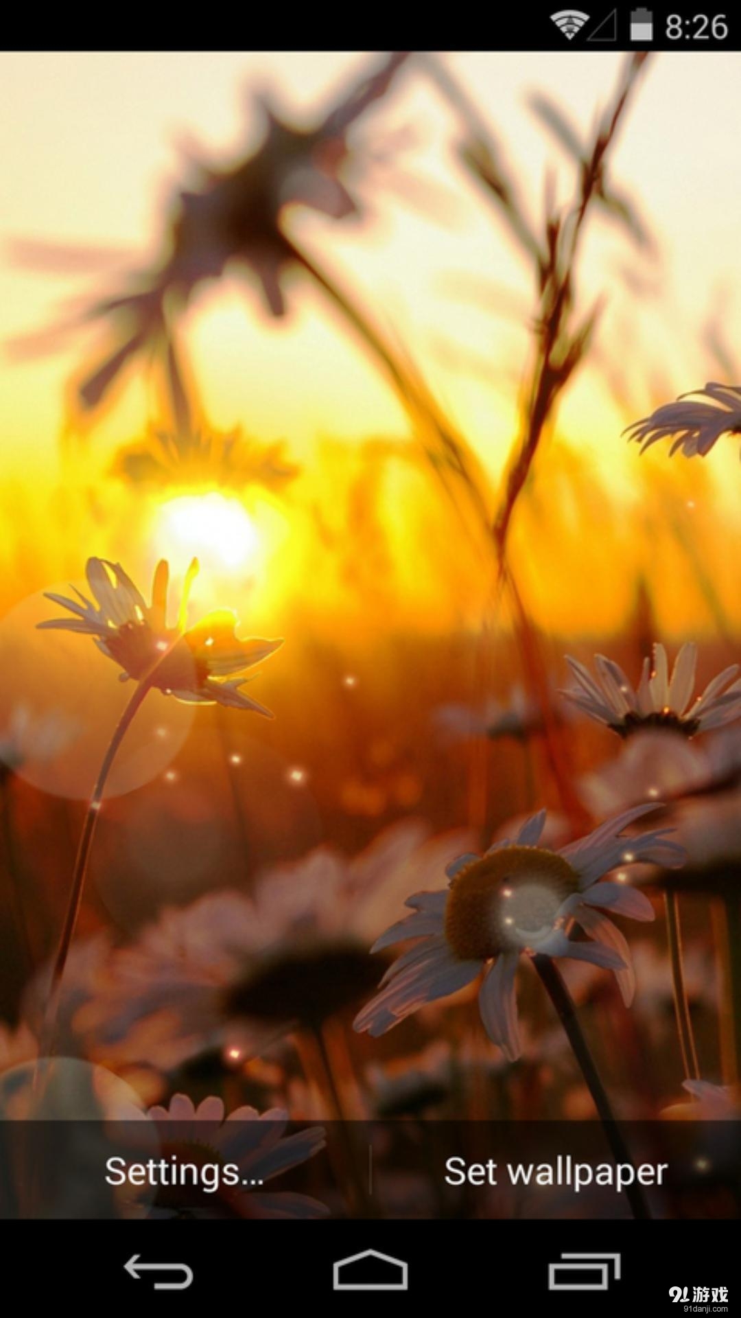 夕阳花语：梦象动态壁纸v1.5.8截图1