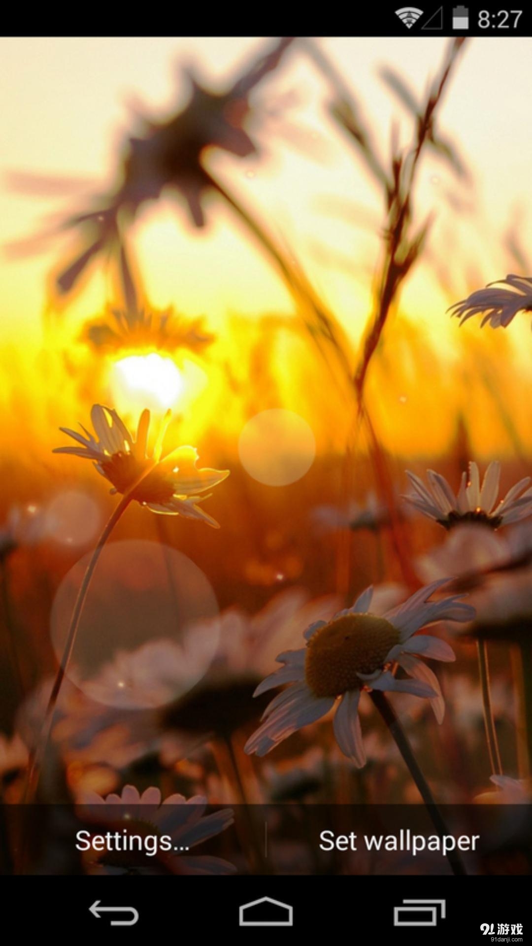 夕阳花语：梦象动态壁纸v1.5.8截图3