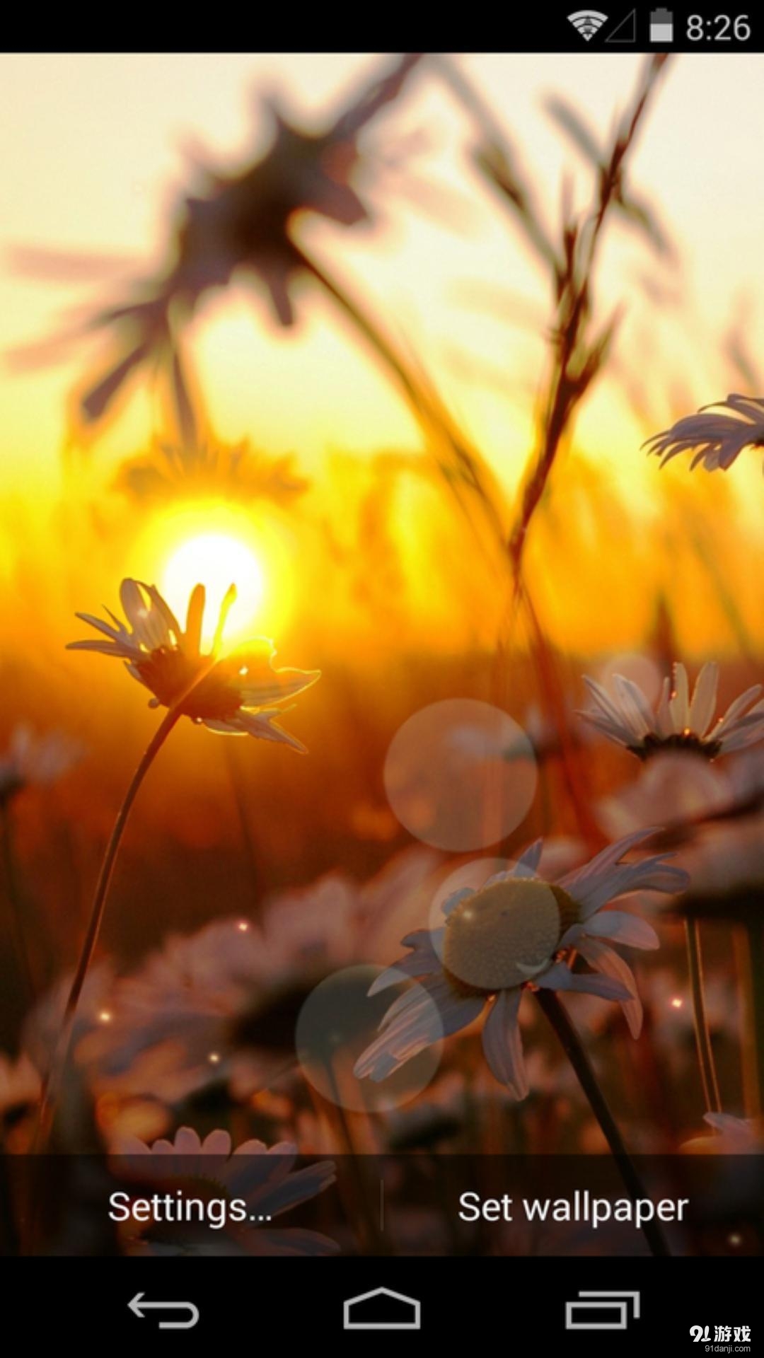 夕阳花语：梦象动态壁纸v1.5.8截图2