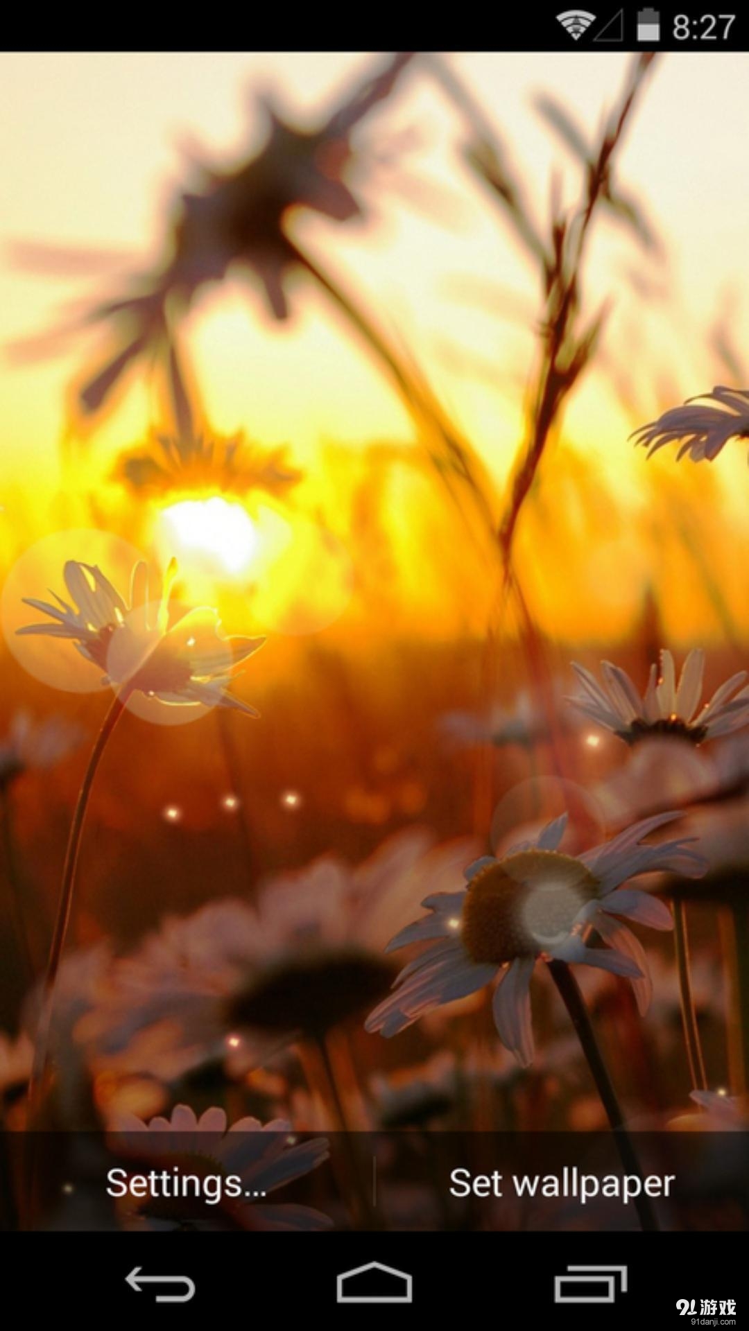 夕阳花语：梦象动态壁纸v1.5.8截图4